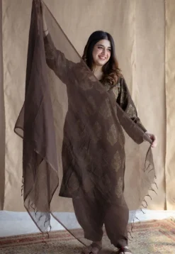 Juhi Brown Ajrakh Cotton Straight Kurta with Hand Embroidery