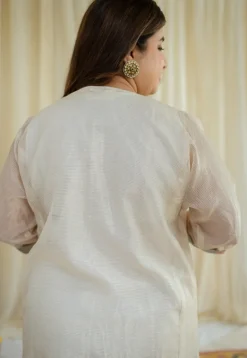 Mriga Chanderi Zari Stripe Jhabba Kali Kurta